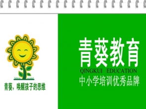 上合小学午托班托管中心 深圳婴幼儿教育与课后辅导的一站式选择