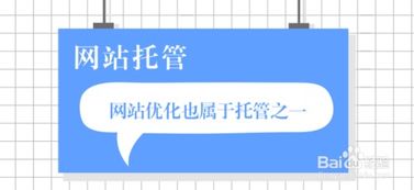 企业网站托管,更应该关注这些内容